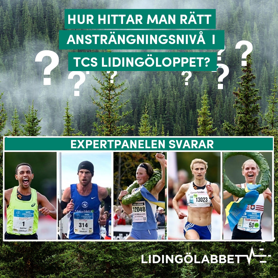 Hur hittar man rätt ansträngningsnivå i TCS Lidingöloppet? Eliten tipsar