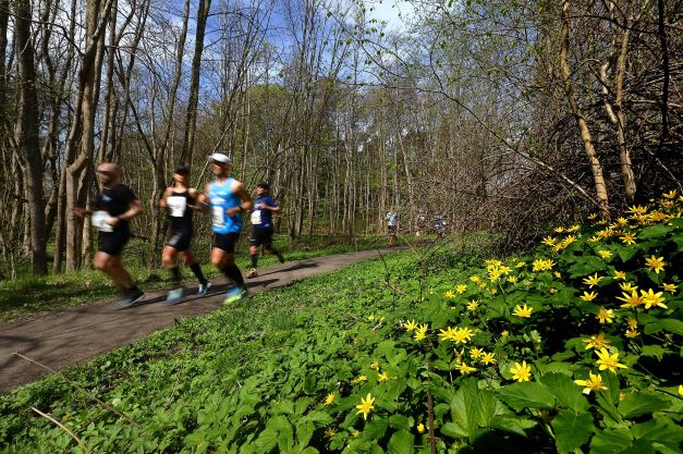 Vårmilen 5 km